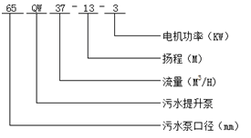 大东海泵业污水提升泵