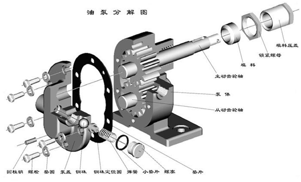 大东海泵业齿轮泵结构图1