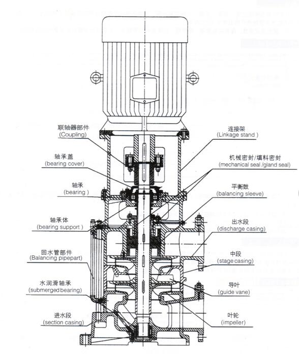 大东海泵业立式多级泵结构图