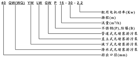 大东海泵业液下无堵塞排污泵型号意义