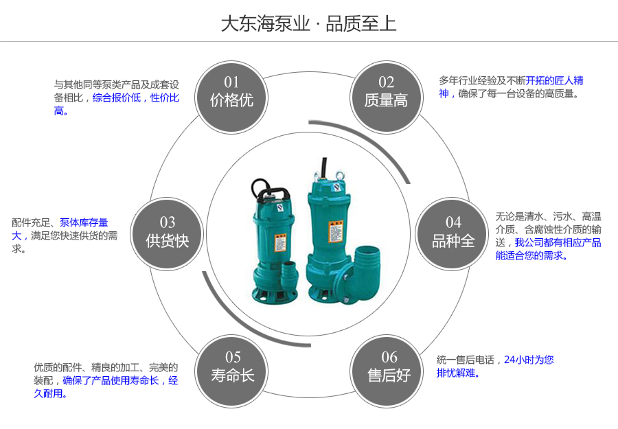 大东海泵业潜水电泵质量保证图