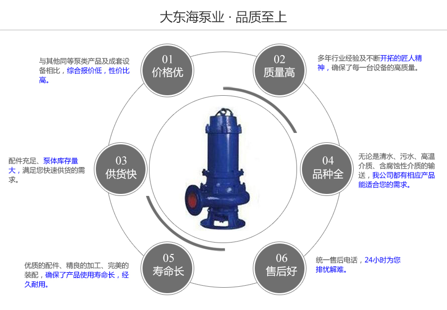 大东海泵业潜水式排污泵质量保证图