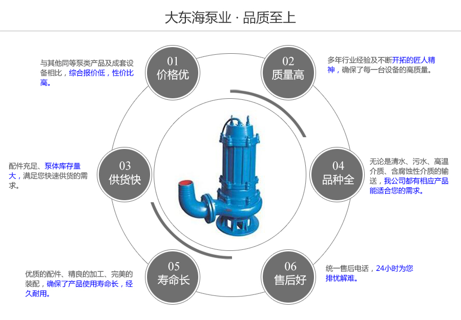 大东海泵业污水潜水泵质量保证图