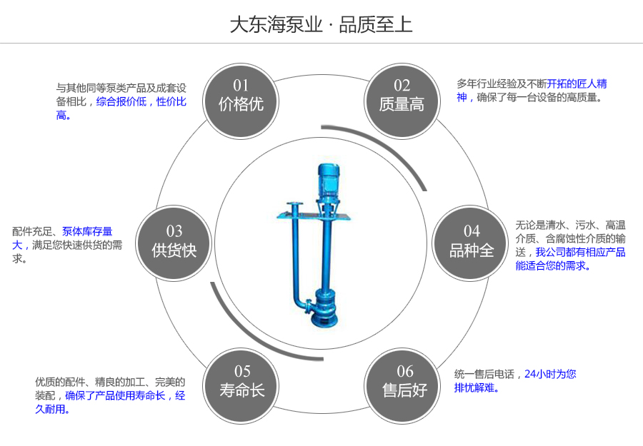 大东海泵业液下排污泵质量保证图