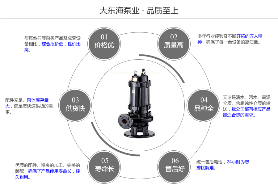 大东海泵业QW型潜水污水泵质量保证图