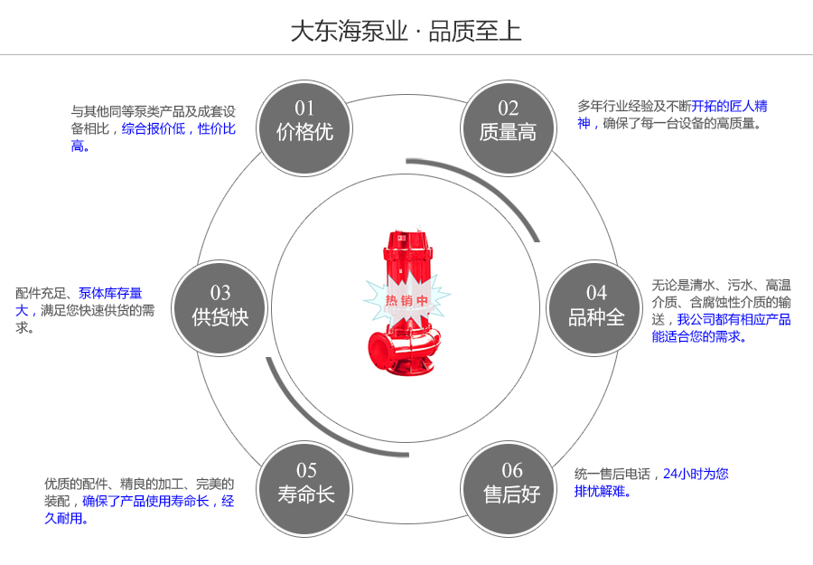 大东海泵业WQR型耐高温污水泵质量保证图