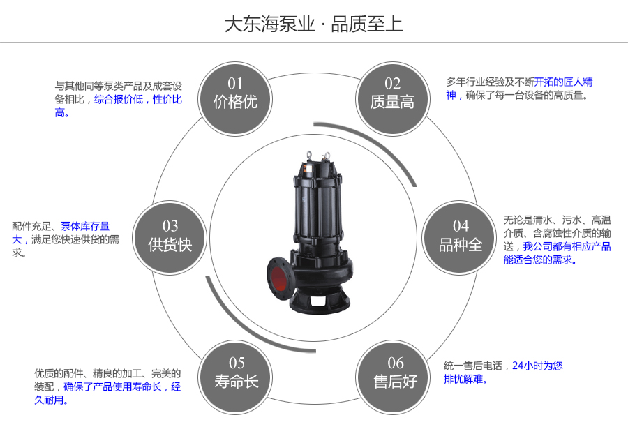 大东海泵业WQ型无堵塞污水泵质量保证图