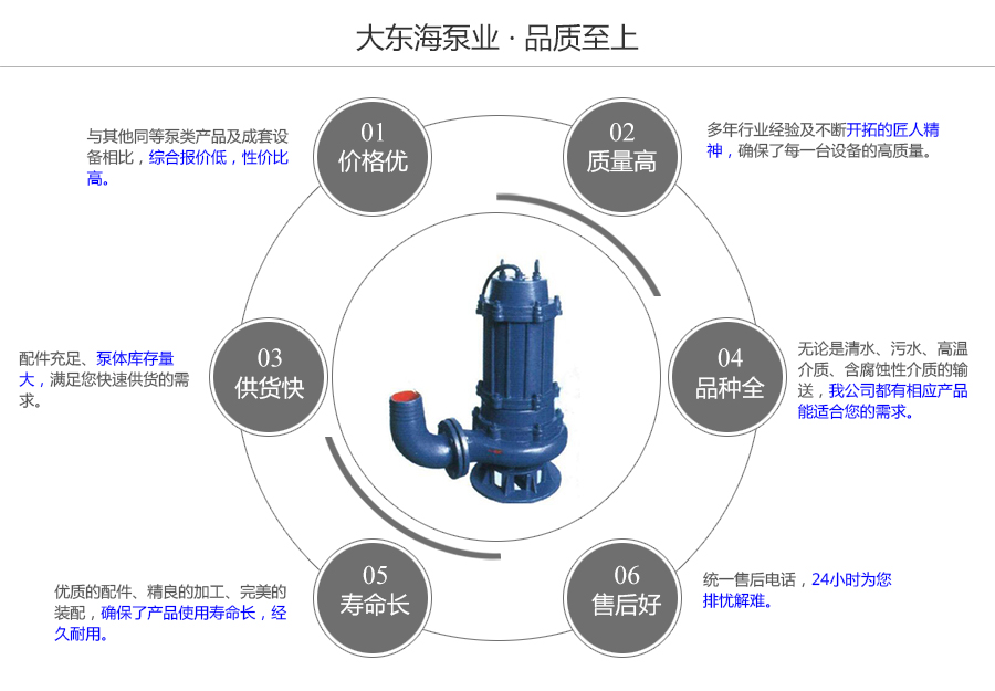大东海泵业QW型潜污泵质量保证图