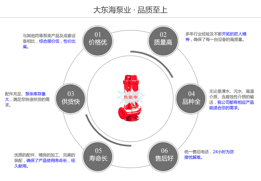 大东海泵业WQR型热水潜水排污泵质量保证图