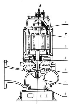 排污泵结构图